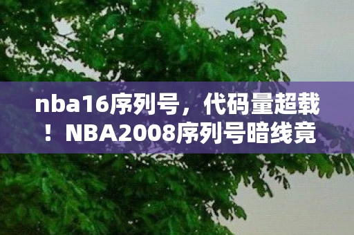 nba16序列号，代码量超载！NBA2008序列号暗线竟是赛博基因锁，头皮发麻的真相即将揭晓