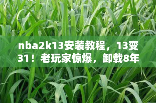 nba2k13安装教程，13变31！老玩家惊爆，卸载8年竟因这改动秒回坑？