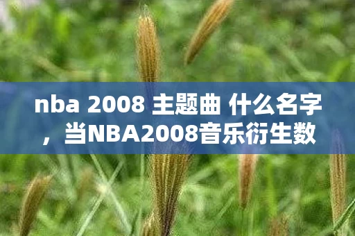 nba 2008 主题曲 什么名字,当NBA2008音乐衍生数破圈,手办狂魔的冰箱竟比钱包更空! nba 2008 主题曲 什么名字,当NBA2008音乐衍生数破圈,手办狂魔的冰箱竟比钱包更空!