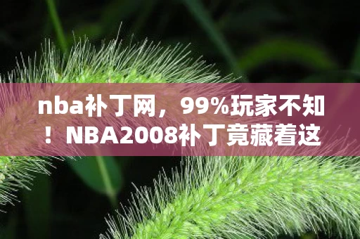 nba补丁网,99%玩家不知!NBA2008补丁竟藏着这3个逆天玩法,颠覆你的篮球宇宙! nba补丁网,99%玩家不知!NBA2008补丁竟藏着这3个逆天玩法,颠覆你的篮球宇宙!