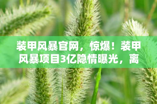 装甲风暴官网,惊爆!装甲风暴项目3亿隐情曝光,离职老兵掀桌,这操作真让人吓一跳! 装甲风暴官网,惊爆!装甲风暴项目3亿隐情曝光,离职老兵掀桌,这操作真让人吓一跳!