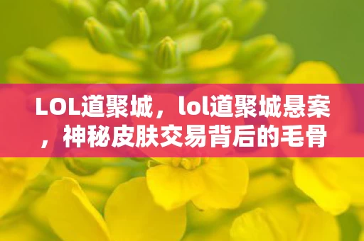LOL道聚城,lol道聚城悬案,神秘皮肤交易背后的毛骨悚然线索链 LOL道聚城,lol道聚城悬案,神秘皮肤交易背后的毛骨悚然线索链