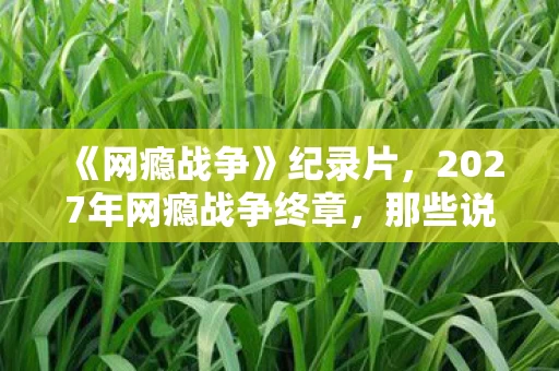 《网瘾战争》纪录片,2027年网瘾战争终章,那些说好永不散场的兄弟,如今鼻子一酸只剩回忆 《网瘾战争》纪录片,2027年网瘾战争终章,那些说好永不散场的兄弟,如今鼻子一酸只剩回忆