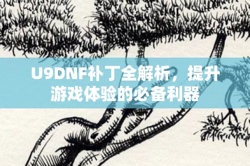 提升游戏体验的必备利器图片