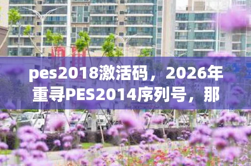 pes2018激活码,2026年重寻PES2014序列号,那些别走的瞬间,鼻子一酸终成回忆 pes2018激活码,2026年重寻PES2014序列号,那些别走的瞬间,鼻子一酸终成回忆