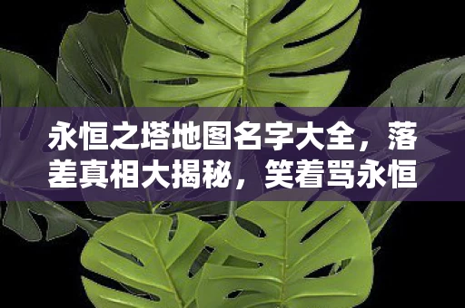 永恒之塔地图名字大全,落差真相大揭秘,笑着骂永恒之塔,笑着笑着却哭了 永恒之塔地图名字大全,落差真相大揭秘,笑着骂永恒之塔,笑着笑着却哭了