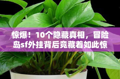 惊爆！10个隐藏真相，冒险岛sf外挂背后竟藏着如此惊人设计！