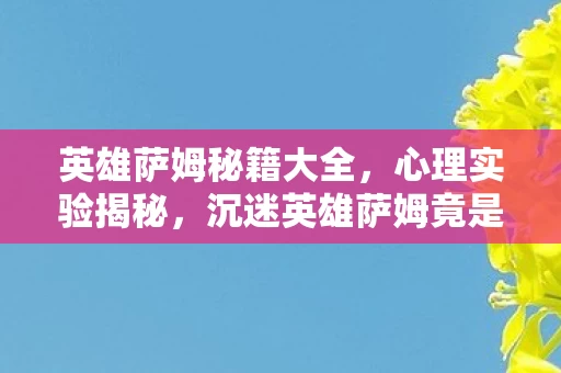 英雄萨姆秘籍大全,心理实验揭秘,沉迷英雄萨姆竟是多巴胺陷阱?细思极恐! 英雄萨姆秘籍大全,心理实验揭秘,沉迷英雄萨姆竟是多巴胺陷阱?细思极恐!