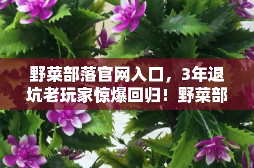 野菜部落官网入口,3年退坑老玩家惊爆回归!野菜部落2027竟藏着这等逆天玩法? 野菜部落官网入口,3年退坑老玩家惊爆回归!野菜部落2027竟藏着这等逆天玩法?