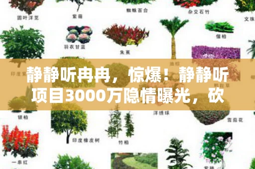 静静听冉冉,惊爆!静静听项目3000万隐情曝光,砍玩法时众人吓一跳! 静静听冉冉,惊爆!静静听项目3000万隐情曝光,砍玩法时众人吓一跳!