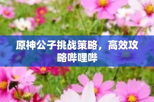 原神公子挑战策略图片