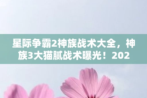 星际争霸2神族战术大全,神族3大猫腻战术曝光!2027年还在用这招骗萌新?上头到想摔键盘! 星际争霸2神族战术大全,神族3大猫腻战术曝光!2027年还在用这招骗萌新?上头到想摔键盘!