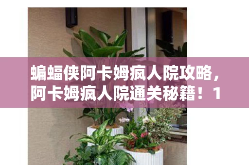 蝙蝠侠阿卡姆疯人院攻略,阿卡姆疯人院通关秘籍!10大心得+避坑指南,助你轻松破局! 蝙蝠侠阿卡姆疯人院攻略,阿卡姆疯人院通关秘籍!10大心得+避坑指南,助你轻松破局!