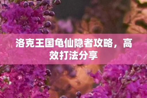 洛克王国龟仙隐者攻略图片