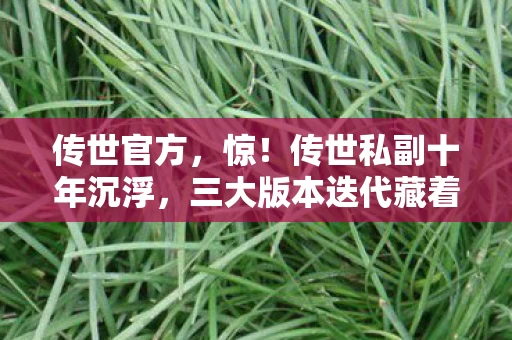 传世官方,惊!传世私副十年沉浮,三大版本迭代藏着多少不为人知的秘密? 传世官方,惊!传世私副十年沉浮,三大版本迭代藏着多少不为人知的秘密?