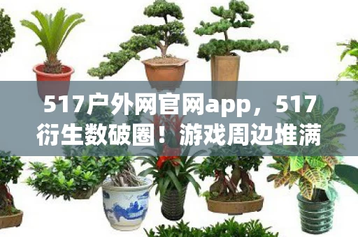 517户外网官网app，517衍生数破圈！游戏周边堆满屋，败家之旅意想不到！