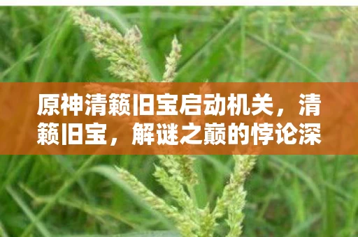 原神清籁旧宝启动机关，清籁旧宝，解谜之巅的悖论深渊，灵魂震颤的永恒抉择