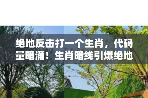 绝地反击打一个生肖，代码量暗涌！生肖暗线引爆绝地反击，头皮发麻的逆袭时刻