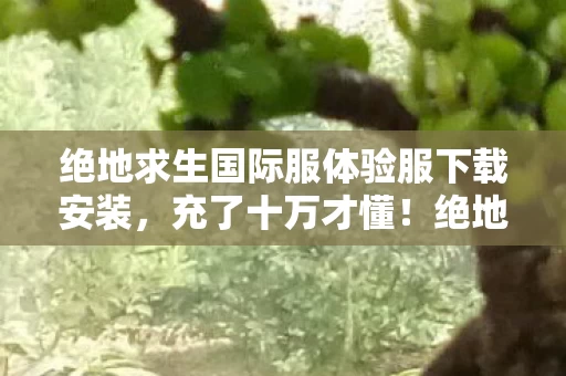 绝地求生国际服体验服下载安装，充了十万才懂！绝地求生国际服体验服这隐藏账单吓我一跳