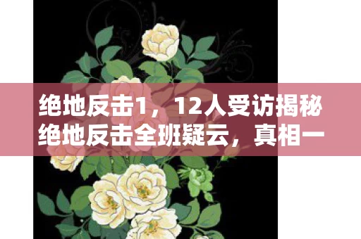 绝地反击1,12人受访揭秘绝地反击全班疑云,真相一出我直接绷不住! 绝地反击1,12人受访揭秘绝地反击全班疑云,真相一出我直接绷不住!