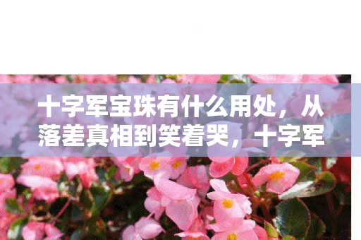 十字军宝珠有什么用处，从落差真相到笑着哭，十字军宝珠坑了我，我却笑着回坑