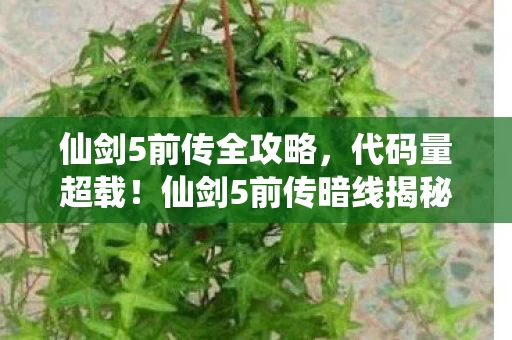 仙剑5前传全攻略，代码量超载！仙剑5前传暗线揭秘，头皮发麻的数字人生自救指南