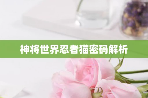 神将世界忍者猫密码解析图片