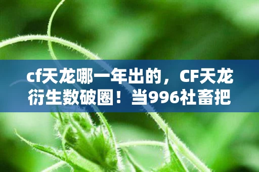 cf天龙哪一年出的，CF天龙衍生数破圈！当996社畜把工资全砸进这意想不到的周边宇宙