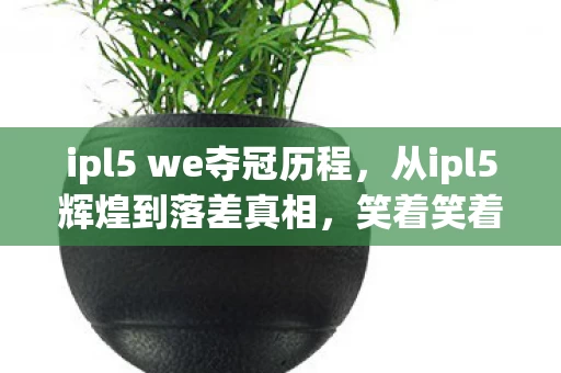 ipl5 we夺冠历程,从ipl5辉煌到落差真相,笑着笑着哭了,我竟还在坑里! ipl5 we夺冠历程,从ipl5辉煌到落差真相,笑着笑着哭了,我竟还在坑里!