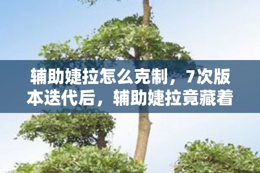 辅助婕拉怎么克制,7次版本迭代后,辅助婕拉竟藏着让百万玩家破防的终极秘密? 辅助婕拉怎么克制,7次版本迭代后,辅助婕拉竟藏着让百万玩家破防的终极秘密?