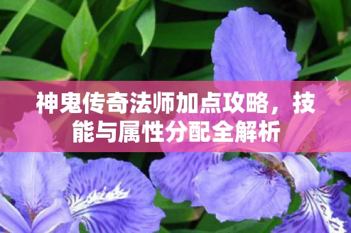 神鬼传奇法师加点攻略图片