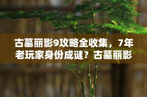 古墓丽影9攻略全收集,7年老玩家身份成谜?古墓丽影9多平台通关后的心酸真相 古墓丽影9攻略全收集,7年老玩家身份成谜?古墓丽影9多平台通关后的心酸真相