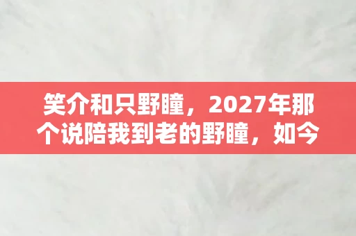 笑介和只野瞳，2027年那个说陪我到老的野瞳，如今想起还是鼻子一酸
