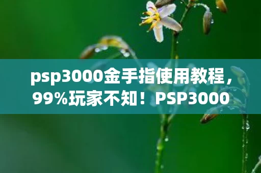 psp3000金手指使用教程，99%玩家不知！PSP3000金手指竟藏着这3个颠覆认知的秘密！