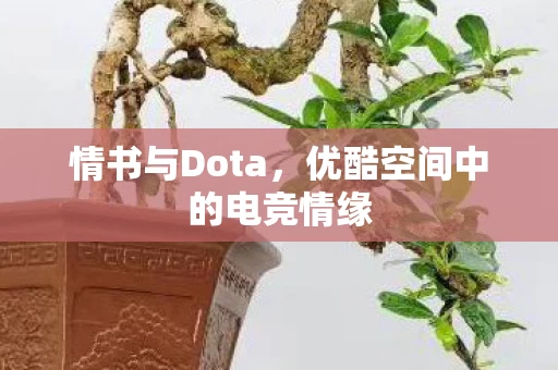 优酷空间中的电竞情缘图片
