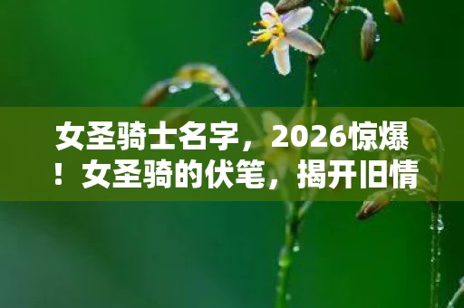 女圣骑士名字，2026惊爆！女圣骑的伏笔，揭开旧情，回忆涌来鼻子一酸