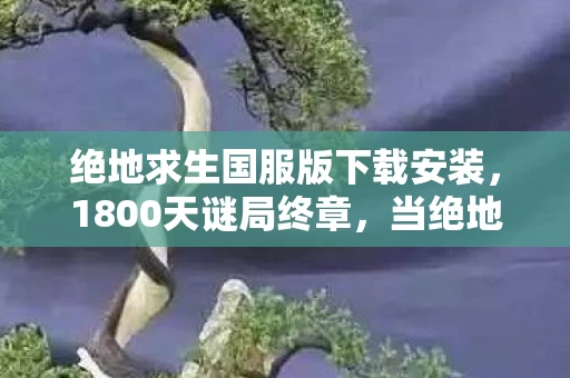 绝地求生国服版下载安装，1800天谜局终章，当绝地求生国服最后一架飞机坠入数据深渊