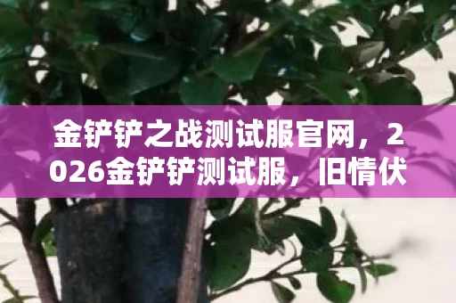 金铲铲之战测试服官网，2026金铲铲测试服，旧情伏笔重现，鼻子一酸忆往昔