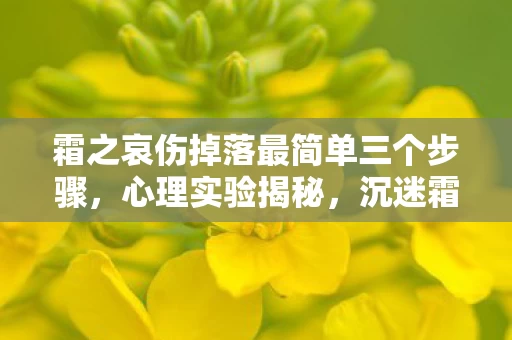 霜之哀伤掉落最简单三个步骤，心理实验揭秘，沉迷霜之哀伤的三年，细思极恐的自我囚禁