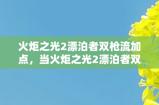火炬之光2漂泊者双枪流加点，当火炬之光2漂泊者双枪成为心理实验，沉迷背后的细思极恐真相