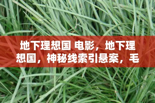 地下理想国 电影，地下理想国，神秘线索引悬案，毛骨悚然困兽谜局待解
