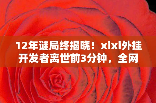 12年谜局终揭晓！xixi外挂开发者离世前3分钟，全网泪目