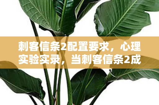 刺客信条2配置要求,心理实验实录,当刺客信条2成为沉迷陷阱,细思极恐的多巴胺操控 刺客信条2配置要求,心理实验实录,当刺客信条2成为沉迷陷阱,细思极恐的多巴胺操控
