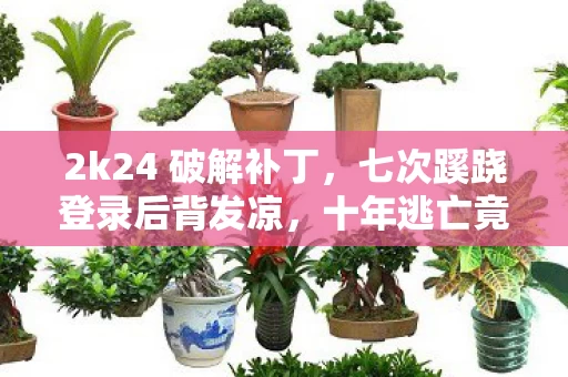 2k24 破解补丁,七次蹊跷登录后背发凉,十年逃亡竟是场拙劣的独角戏 2k24 破解补丁,七次蹊跷登录后背发凉,十年逃亡竟是场拙劣的独角戏