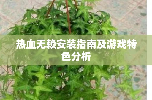 热血无赖安装指南及游戏特色分析图片