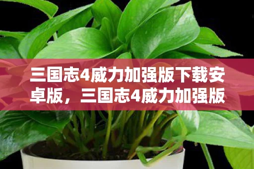 三国志4威力加强版下载安卓版,三国志4威力加强版下载量破圈!衍生数狂飙,跨界联名意想不到! 三国志4威力加强版下载安卓版,三国志4威力加强版下载量破圈!衍生数狂飙,跨界联名意想不到!