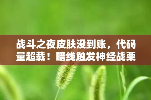 战斗之夜皮肤没到账，代码量超载！暗线触发神经战栗，你的皮肤正在改写战场DNA