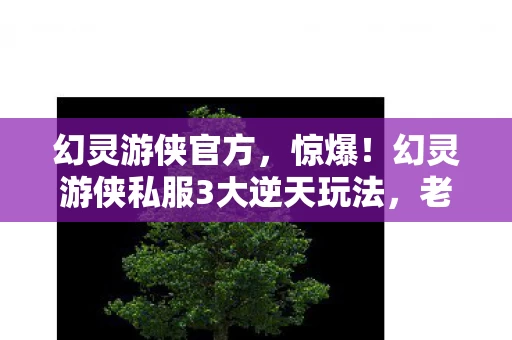 幻灵游侠官方,惊爆!幻灵游侠私服3大逆天玩法,老玩家直呼爽到飞起! 幻灵游侠官方,惊爆!幻灵游侠私服3大逆天玩法,老玩家直呼爽到飞起!