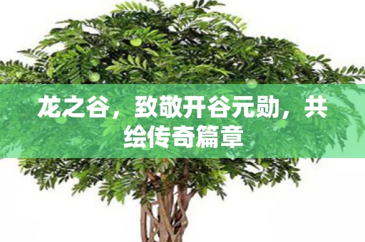 致敬开谷元勋图片