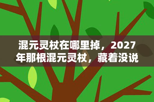 混元灵杖在哪里掉，2027年那根混元灵杖，藏着没说出口的约定，如今想起鼻子一酸